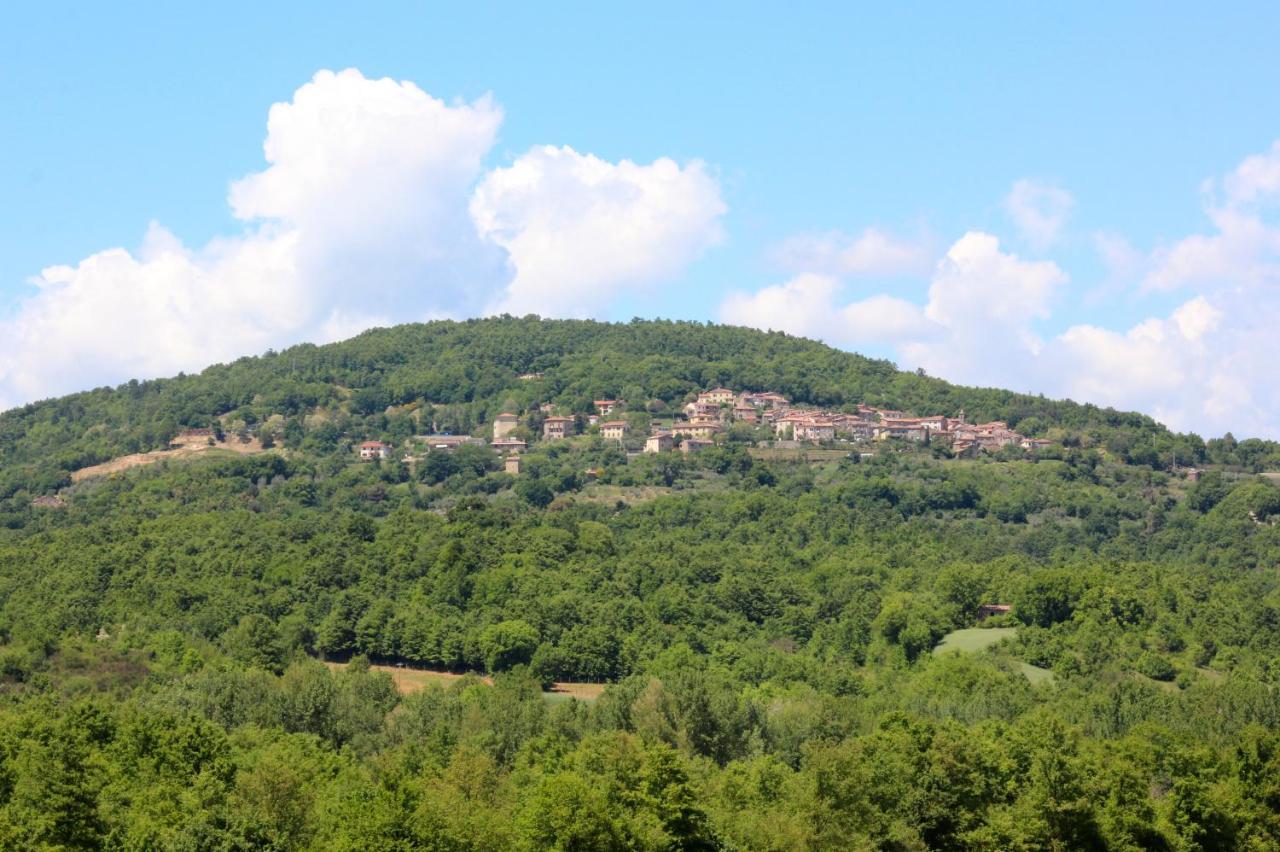 Agriturismo La Via Dell'Oliviera Villa Ciciano Kültér fotó